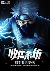 收集系统