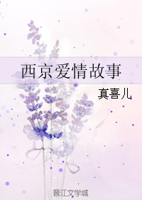 西京爱情故事